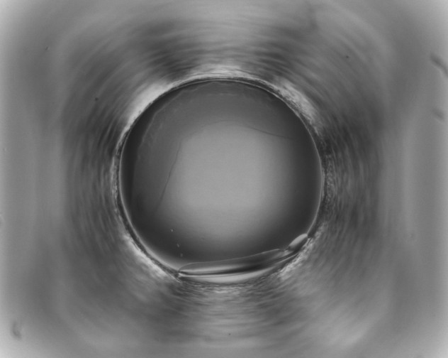 X0000094221382200710261221