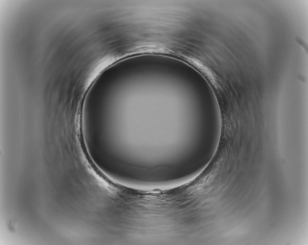 X0000094221383200710261221