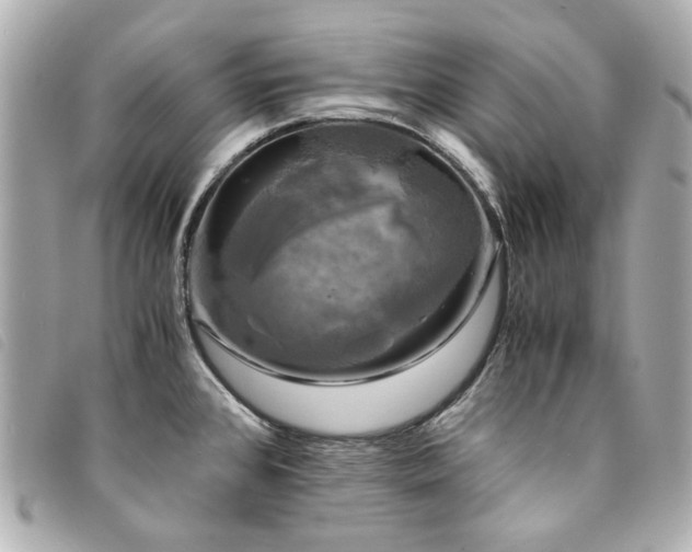 X0000094221384200710261221