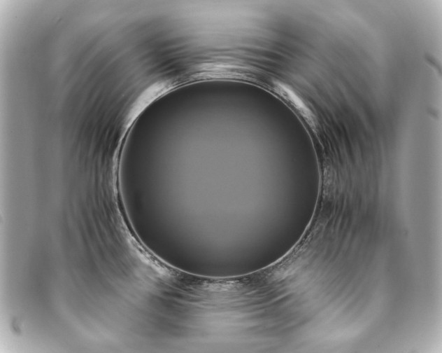 X0000094221386200710261221