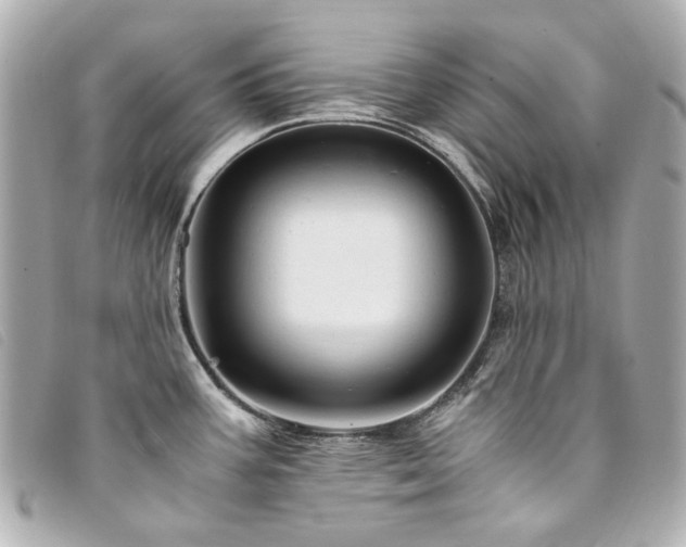X0000094221387200710261221