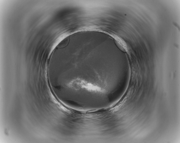X0000094221390200710261221