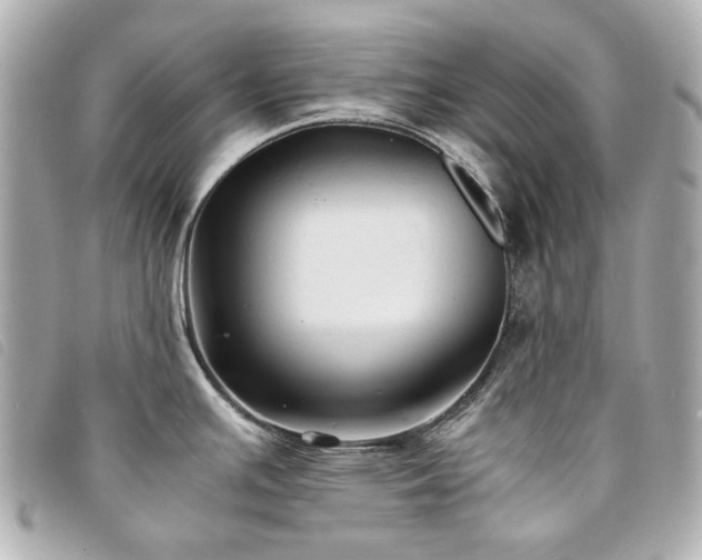 X0000094221391200710261221