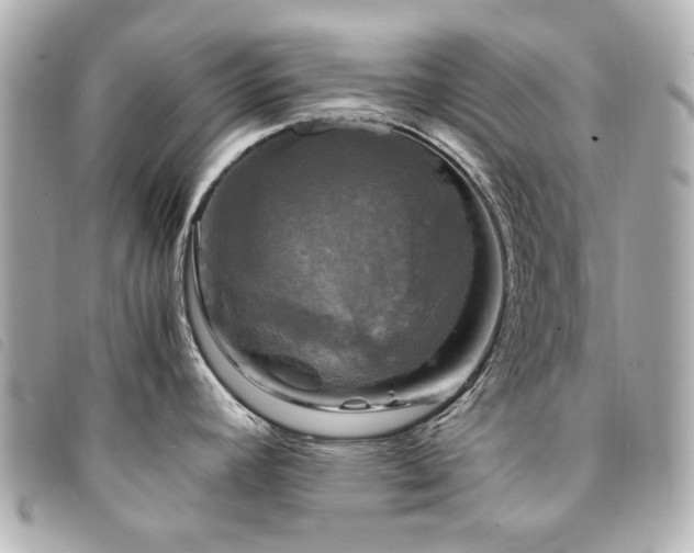 X0000094221392200710261221