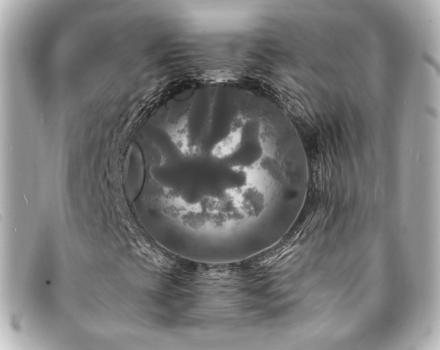 X0000094221393200710261221