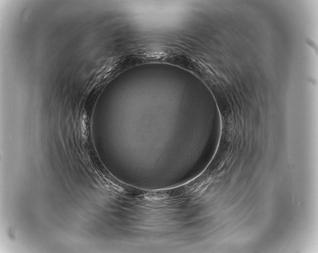 X0000094221394200710261221