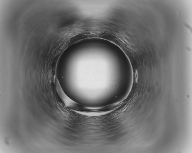 X0000094221395200710261221