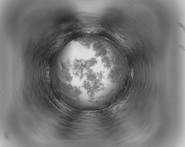 X0000094221396200710261221