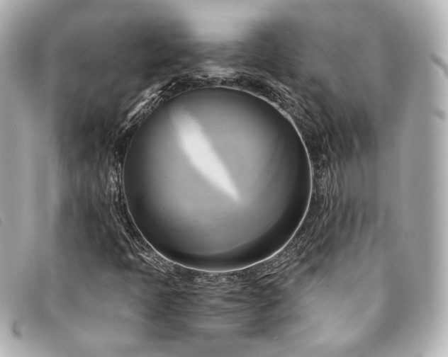 X0000094221397200710261221