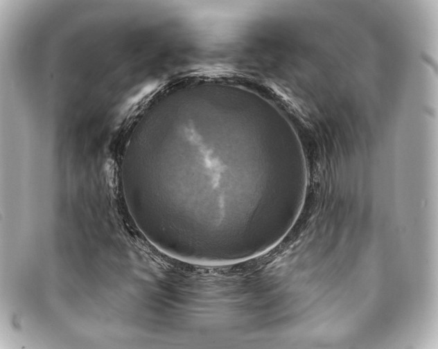 X0000094221398200710261221