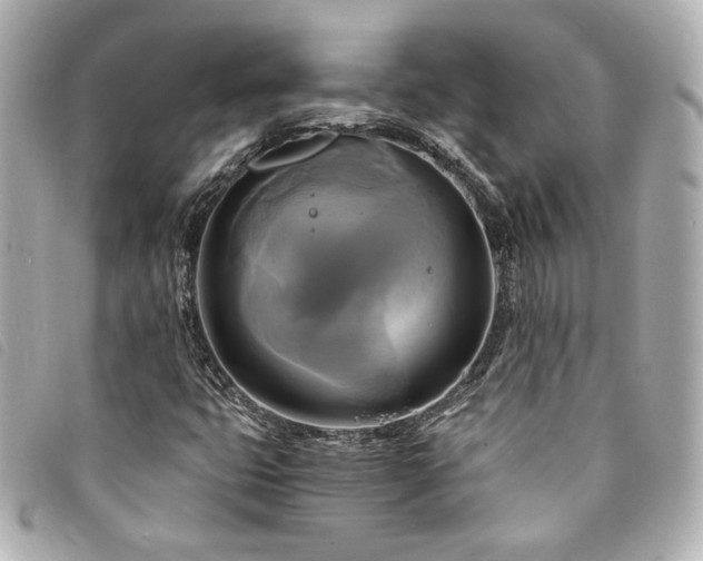 X0000094221399200710261221