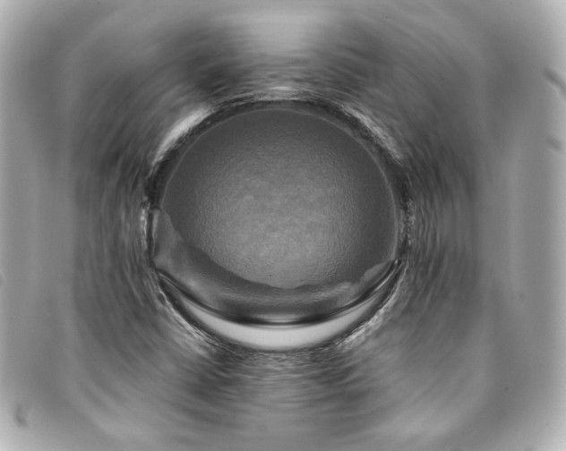 X0000094221402200710261221