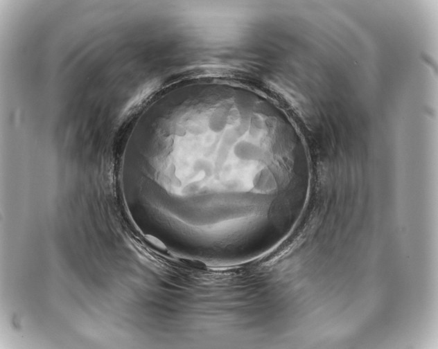 X0000094221403200710261221