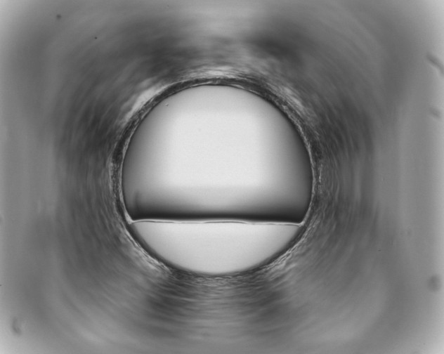 X0000094221404200710261221