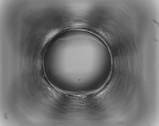 X0000094221405200710261221