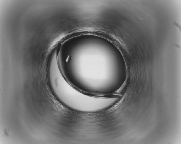 X0000094221406200710261221