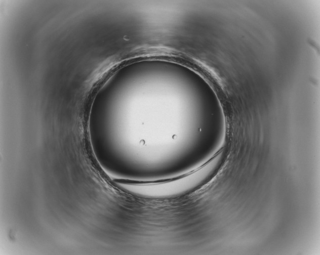 X0000094221407200710261221