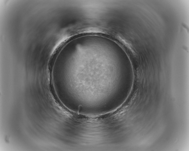 X0000094221408200710261221