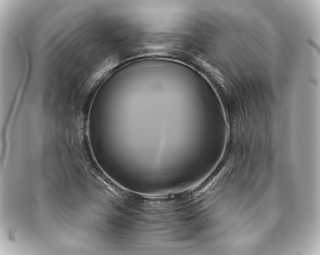 X0000094221411200710261221