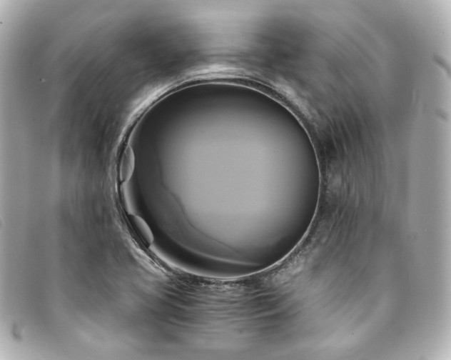 X0000094221413200710261221