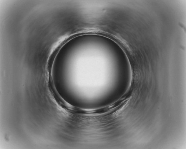 X0000094221414200710261221