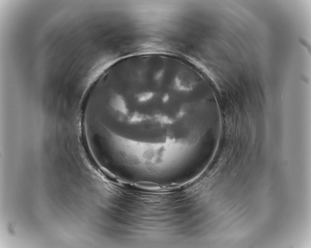 X0000094221415200710261221