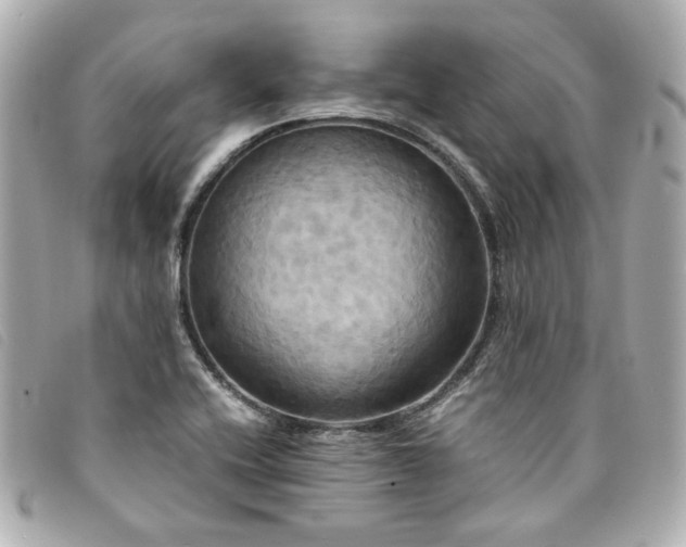 X0000094221416200710261221