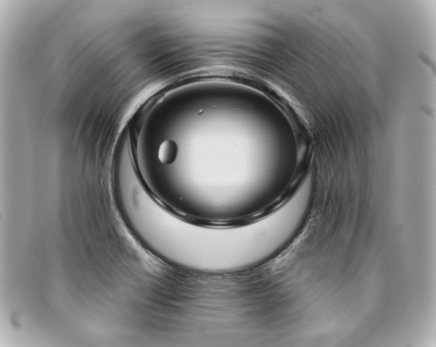 X0000094221418200710261221