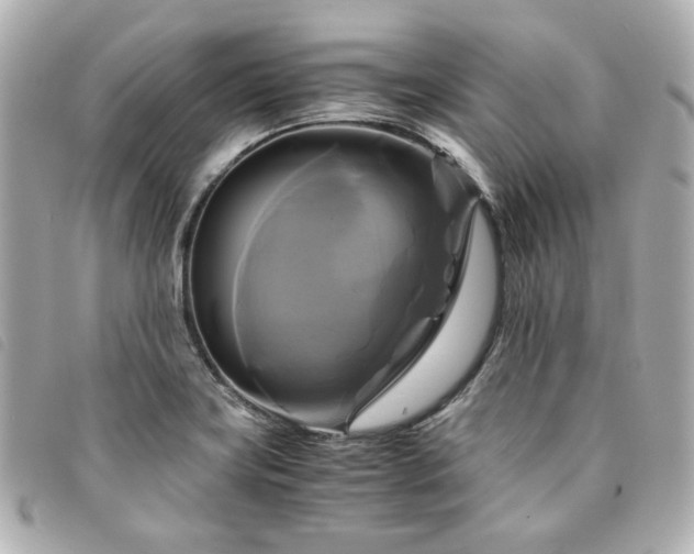 X0000094221419200710261221