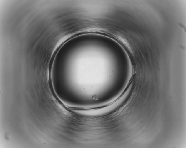 X0000094221420200710261221