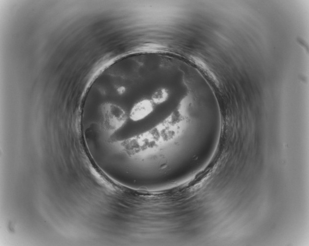 X0000094221421200710261221