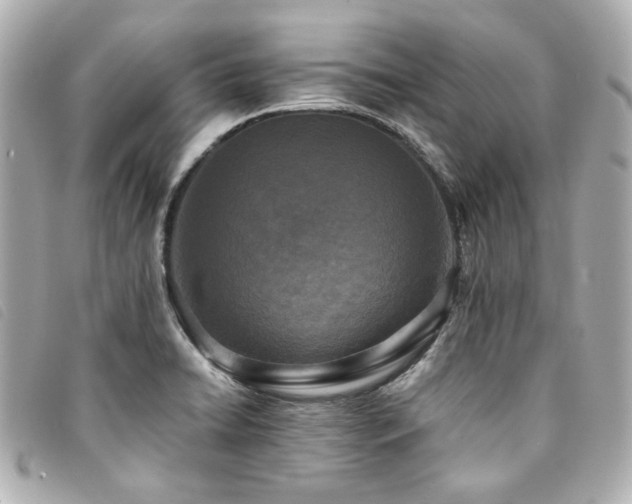 X0000094221422200710261221