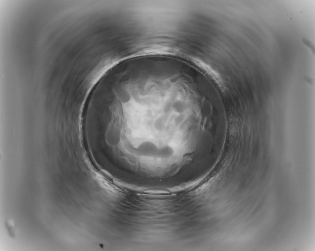 X0000094221423200710261221