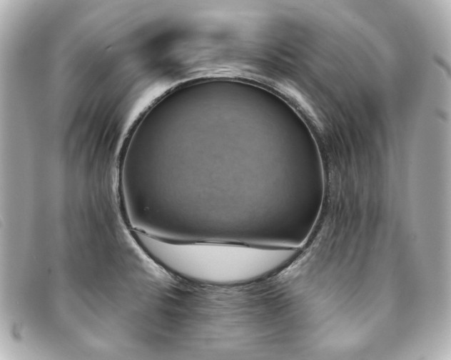 X0000094221424200710261221