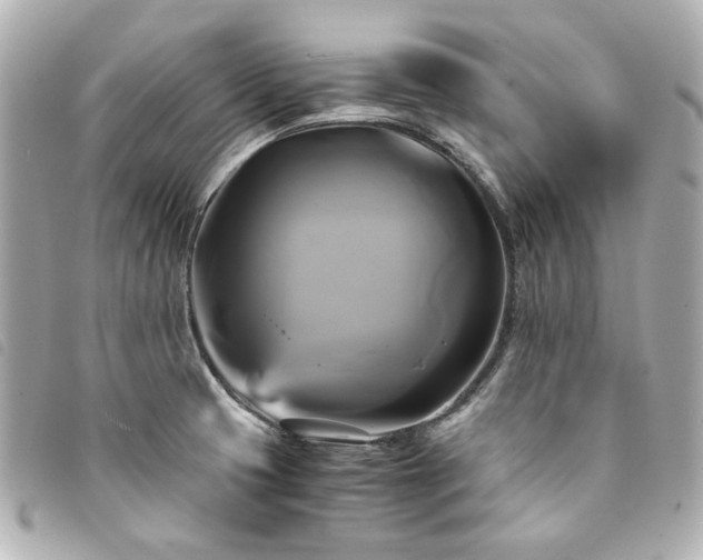 X0000094221425200710261221