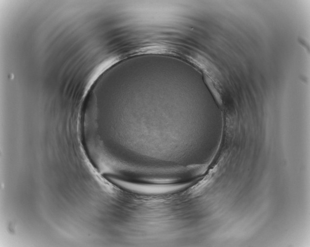 X0000094221426200710261221