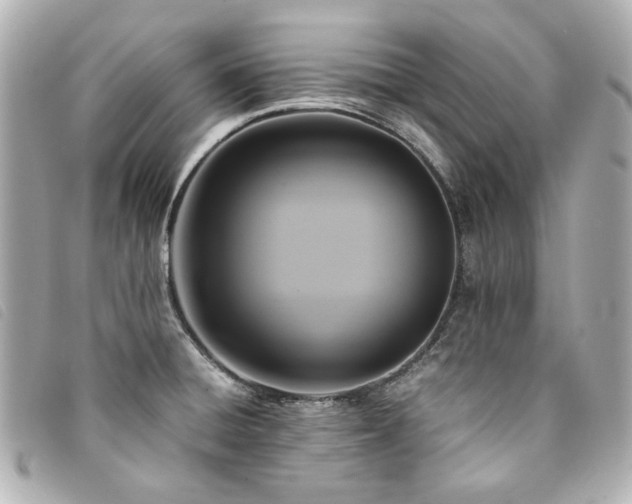 X0000094221428200710261221