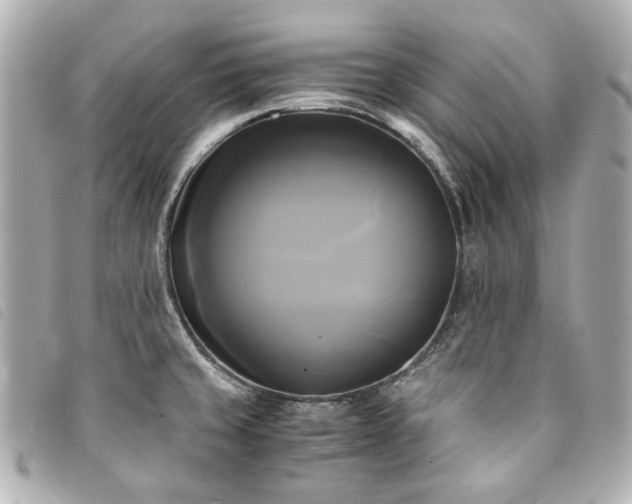 X0000094221429200710261221
