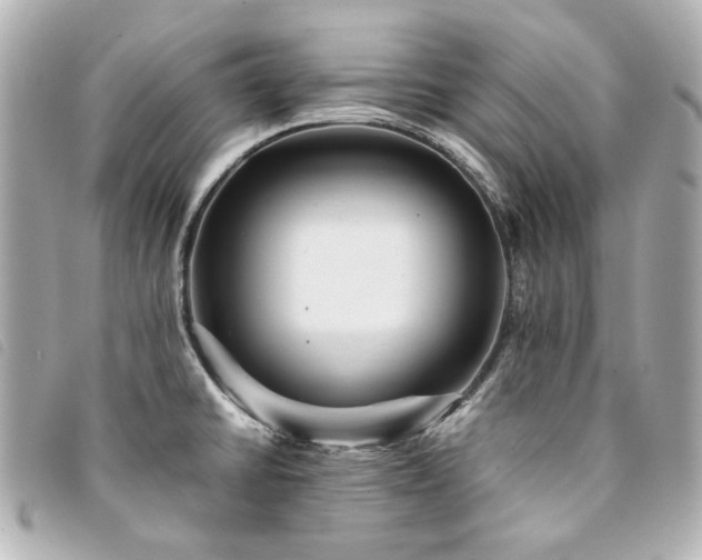 X0000094221430200710261221