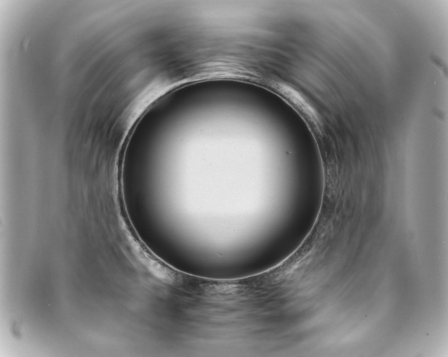 X0000094221431200710261221