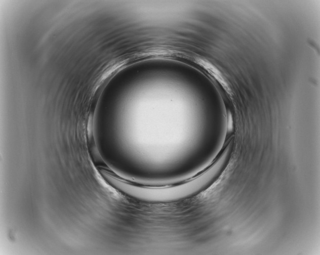 X0000094221433200710261221