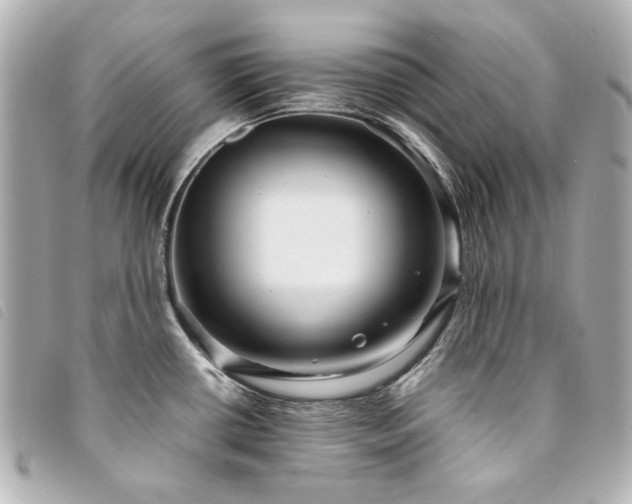 X0000094221434200710261221