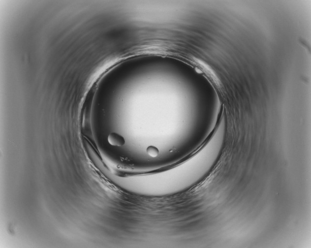X0000094221435200710261221