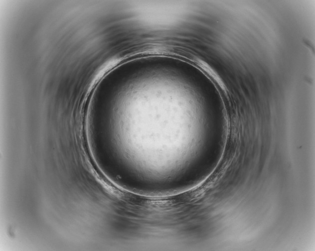X0000094221437200710261221