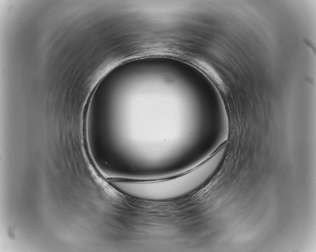 X0000094221439200710261221