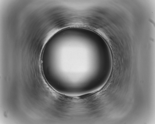 X0000094221440200710261221