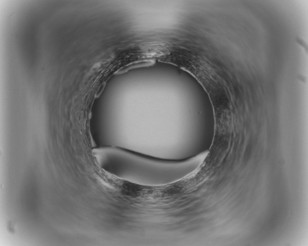 X0000094221441200710261221