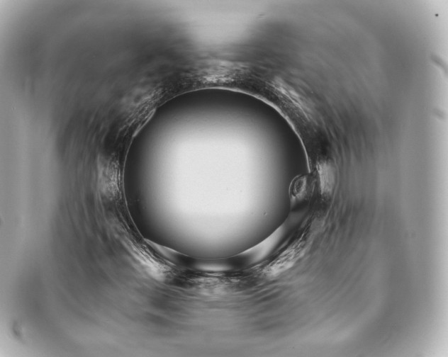 X0000094221444200710261221
