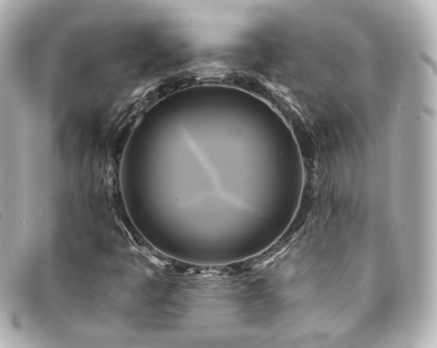 X0000094221445200710261221