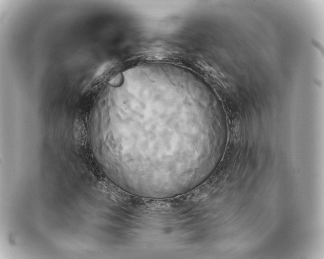 X0000094221446200710261221